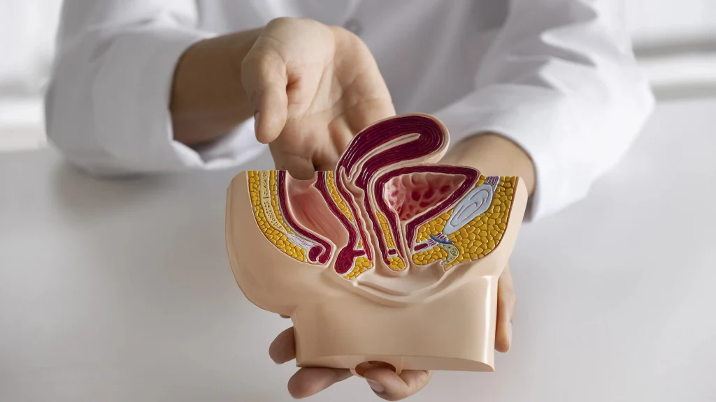 Urological